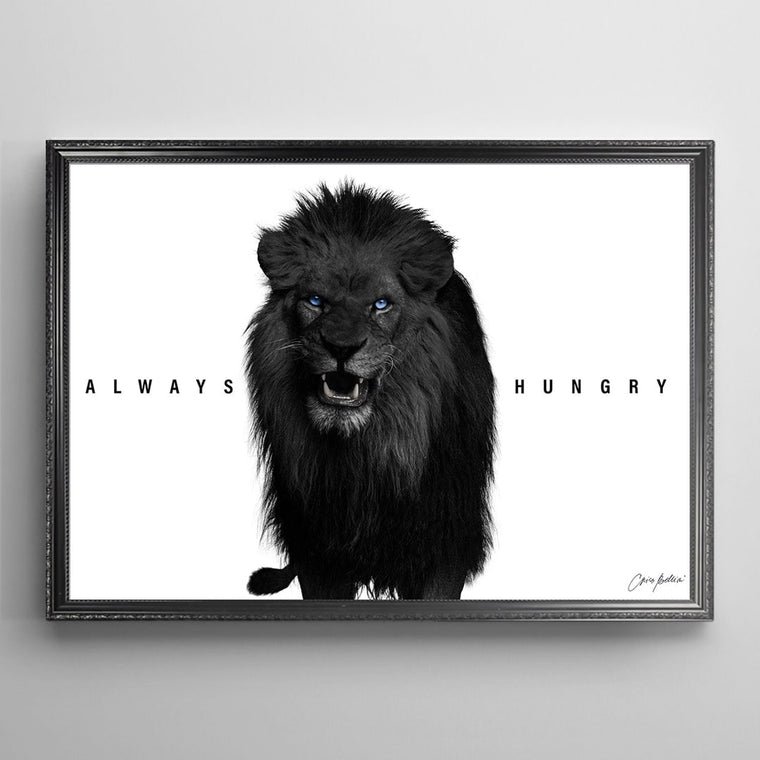Lion N1.
